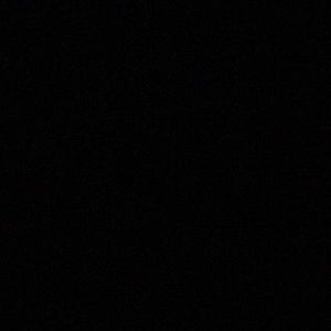 Meet your Posher, Shawntell